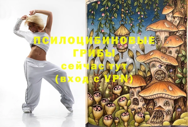 a pvp Арсеньев