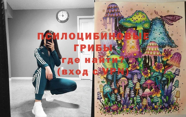 дмт Алзамай
