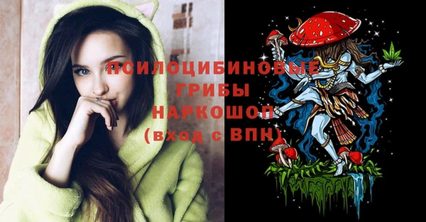 ГАЛЛЮЦИНОГЕННЫЕ ГРИБЫ Алексин