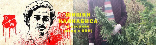 дурь Аркадак