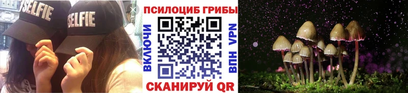 продажа наркотиков  Клин  Псилоцибиновые грибы мухоморы 